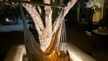 A hammock suspended from a tree in a well-lit outdoor area.