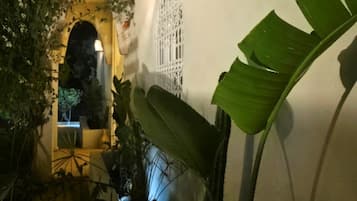 A dimly lit outdoor area with a decorative lantern, a large green leaf plant, and a white wall with a window.