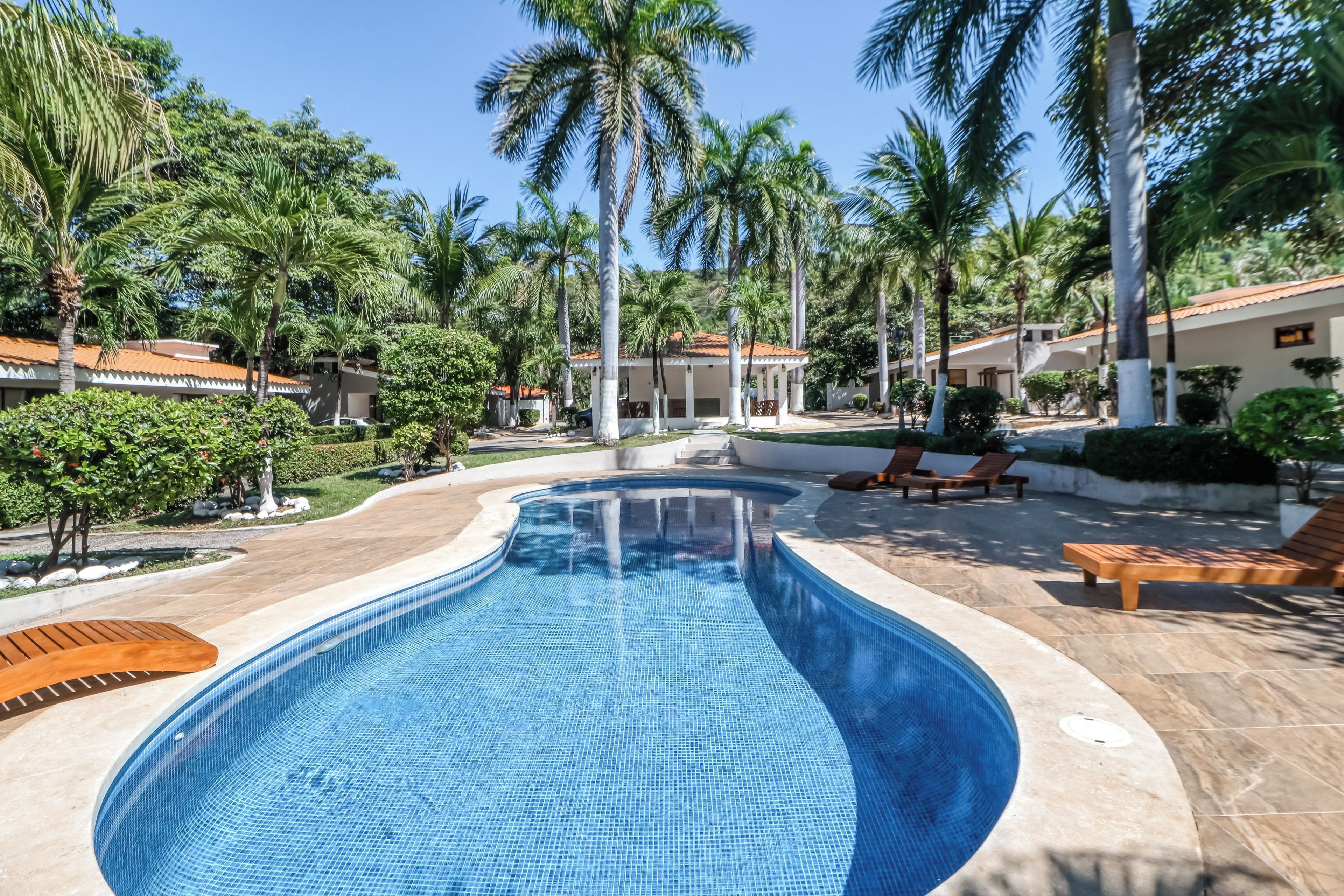 A swimming pool with a tiled edge, surrounded by palm trees and lounge chairs.