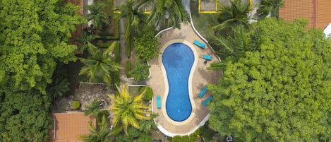 An aerial view of a residential area with a swimming pool surrounded by palm trees and a tennis court.