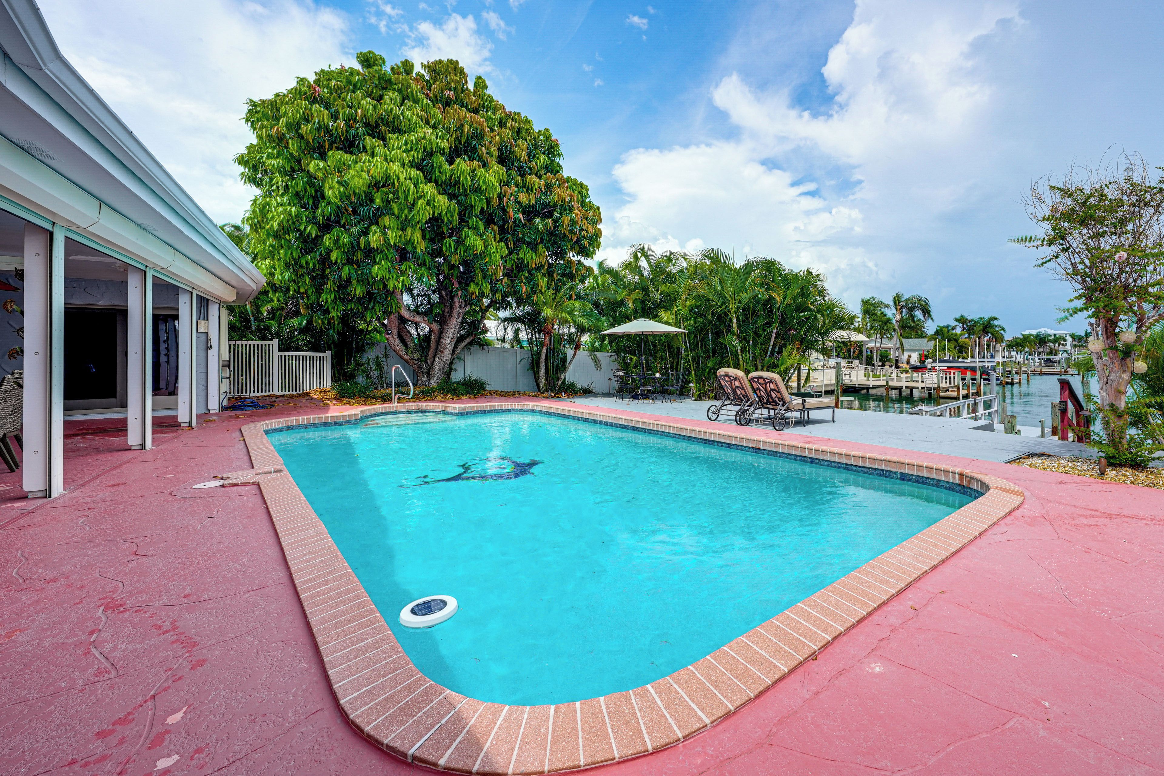 A swimming pool with a tree in the background, surrounded by a deck and lounge chairs.