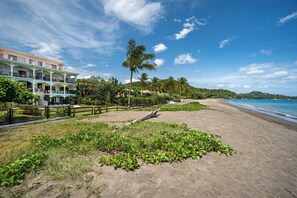 A beach with a building, palm trees, and a clear sky. - Oceanfront 3BR Condo in Playa Potrero (Tempate)