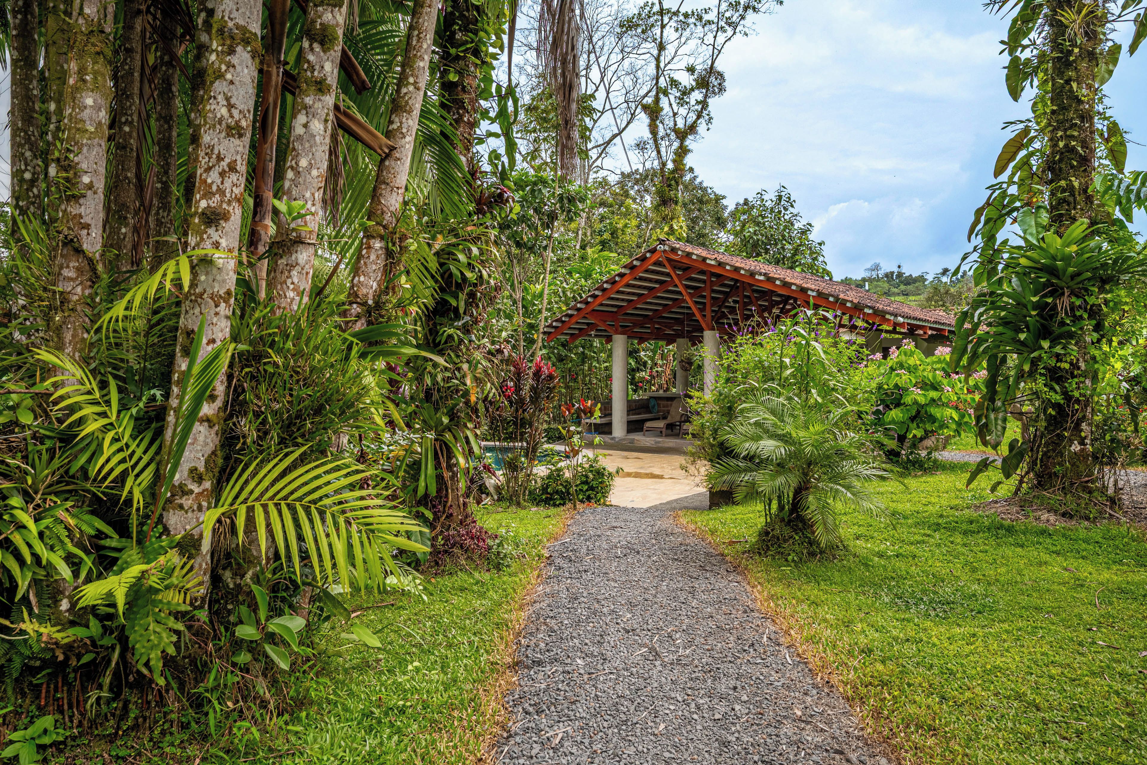 A pathway leading to a covered structure surrounded by lush greenery and trees.