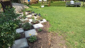 Ein Gartenbereich mit einem gepflasterten Weg, Bänken und einem Picknicktisch.