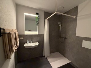 Une salle de bain moderne avec une douche, un lavabo et un miroir.