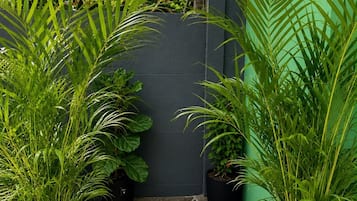 Un giardino con piante in vaso, pavimento in pietra e parete verde.