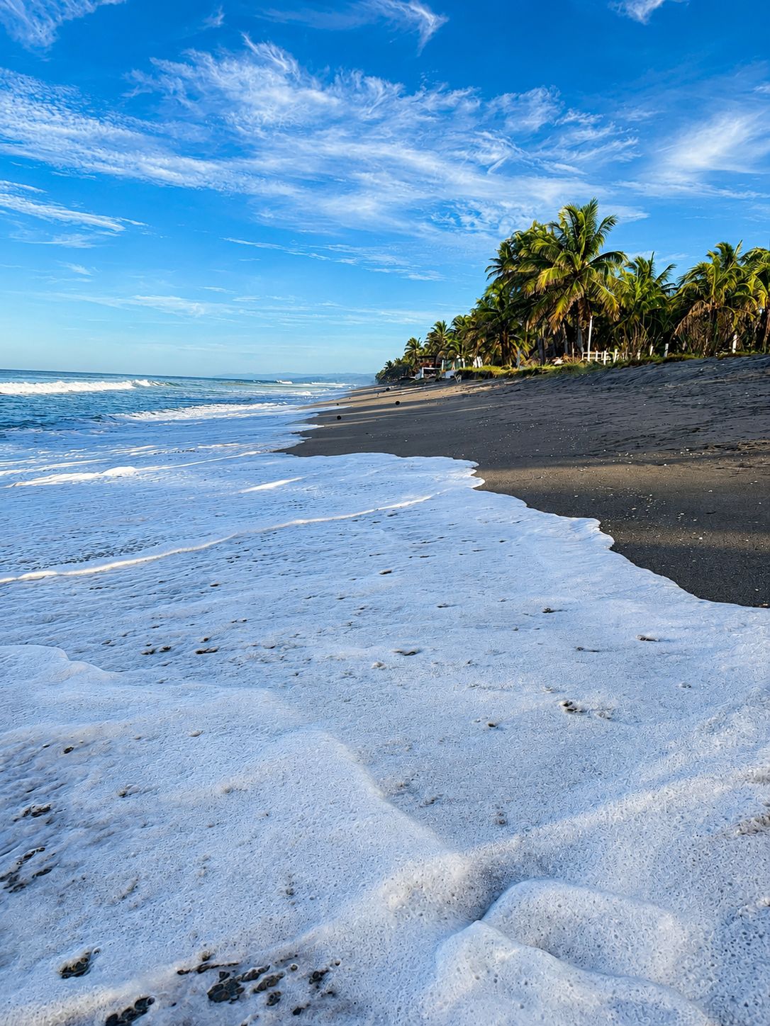 Praia com areia branca, ondas do oceano e palmeiras sob um céu claro.