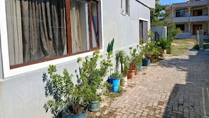 Un edificio con sendero empedrado, plantas en macetas y una ventana con cortinas.