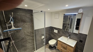 A modern bathroom with a glass-enclosed shower, a toilet, and a vanity with a mirror.