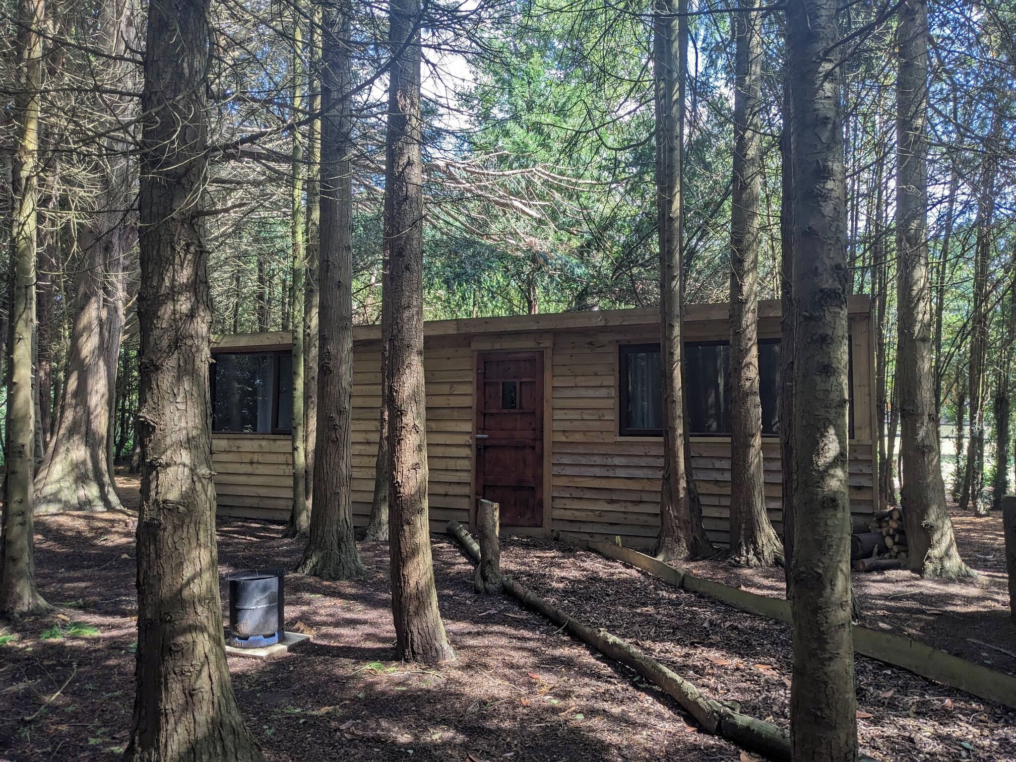 A cabin surrounded by tall trees in a forest.