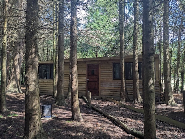 A cabin surrounded by tall trees in a forest. - Badgers Den at The Secret Garden (Ashford)