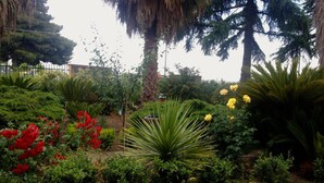 A garden with various plants and flowers, a paved walkway, and a fence. - ‘A Casa di Anna’ Apartment with Private Garden, Wi-Fi and Air Conditioning (Caltanissetta)