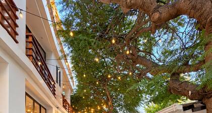 Walk Everywhere - Prime Puerto Ayora Studio!