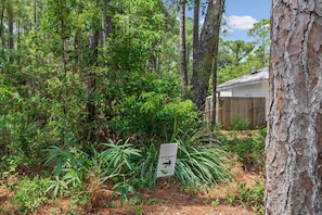 A natural setting with a pedestrian walking path sign, dense foliage, and a wooden structure in the background. - Quiet East End Retreat | Sunroom, Bikes, and Pet Friendly (Dauphin Island)