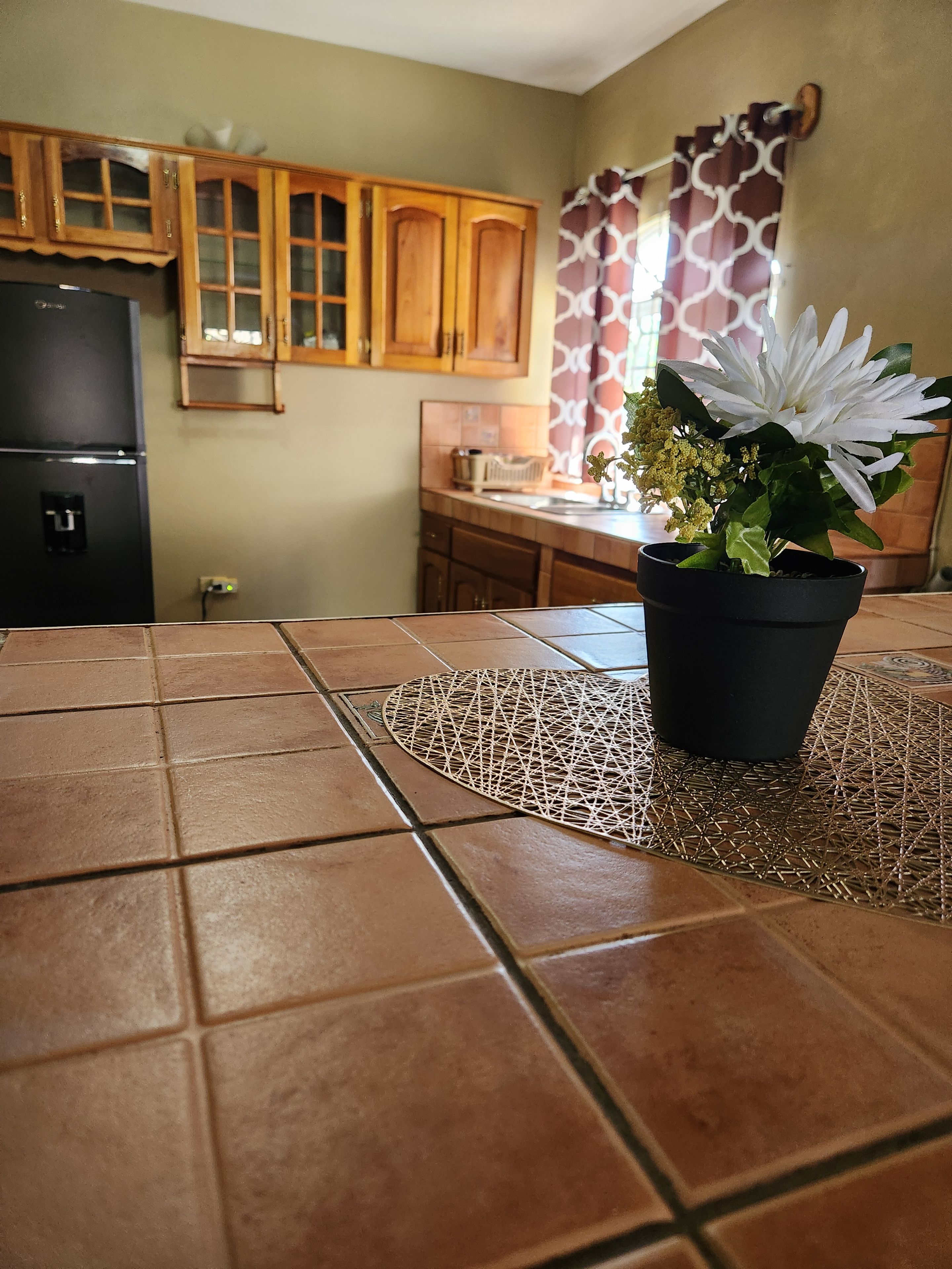 A kitchen with wooden cabinets, a black refrigerator, a potted plant, and a patterned mat on the floor.