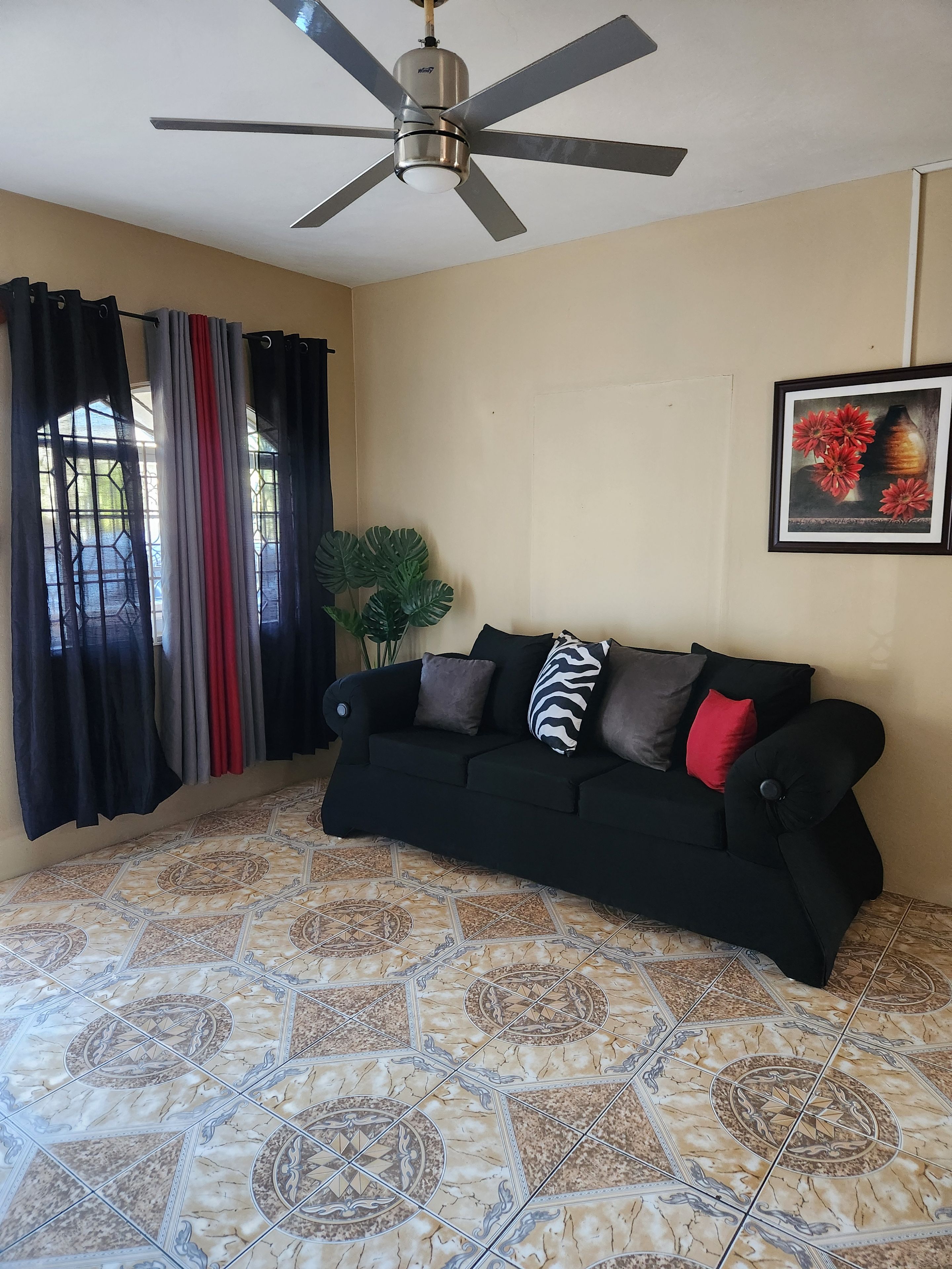 A room with a ceiling fan, a black sofa with multiple cushions, a potted plant, and a framed picture on the wall.