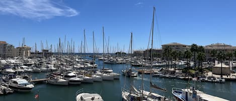 A marina with numerous boats docked, a clear sky, and buildings in the background.