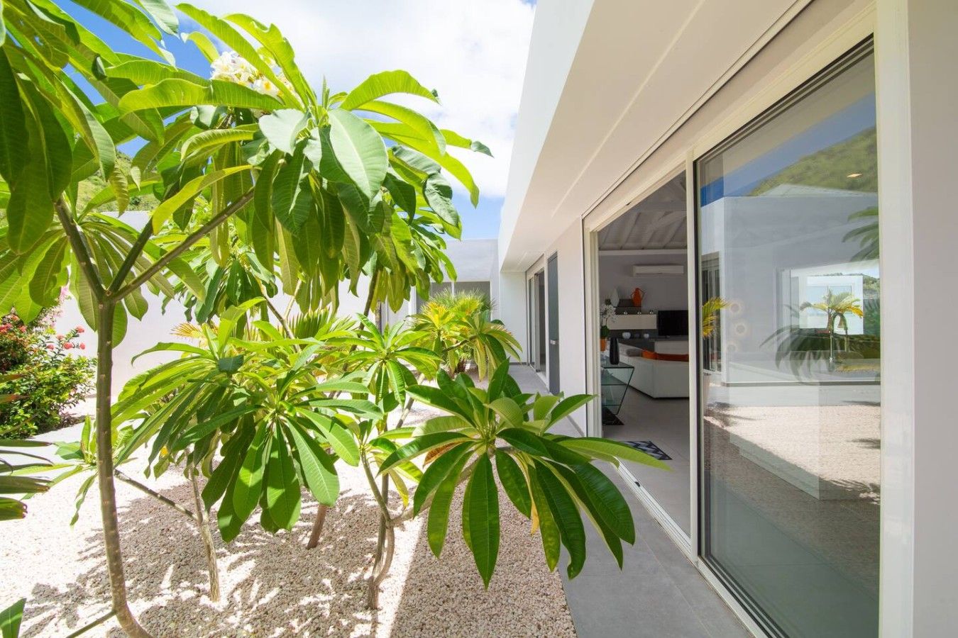 Una casa moderna con un portón de cristal que da a un patio con plantas tropicales.