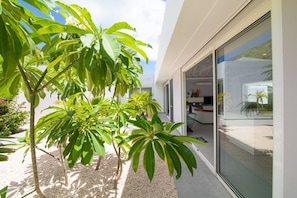 A modern house with a glass door leading to a patio area with tropical plants. - Villa Magnolia Forever Luxe and Exception (St Martin)