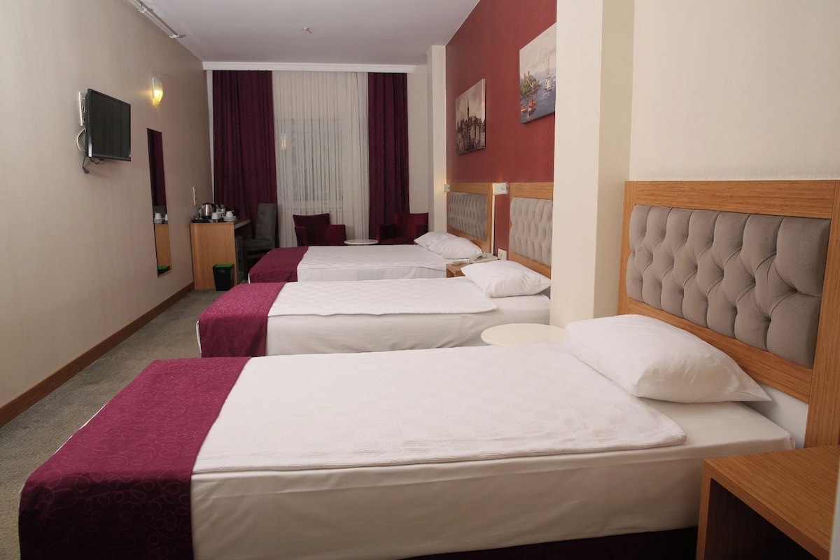Une chambre d’hôtel avec trois lits, une télévision, une petite table et un miroir.