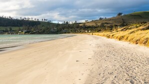 A beach with a sandy shore, a grassy hill, and a body of water.