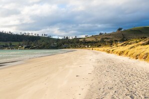 A beach with a sandy shore, a grassy hill, and a body of water.