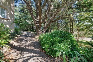 Un sendero de grava que conduce a un edificio con ventana, rodeado de abundante vegetación y árboles.