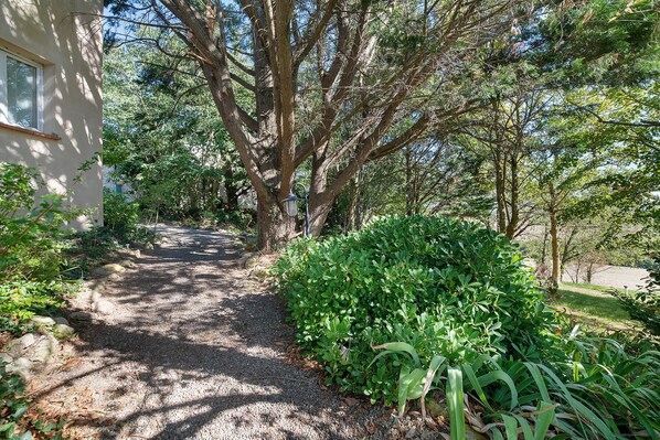 A gravel path leading to a building with a window, surrounded by lush greenery and trees.