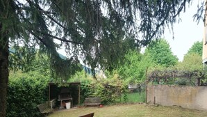 A grassy backyard with a wooden bench, a barbecue grill, and dense foliage.