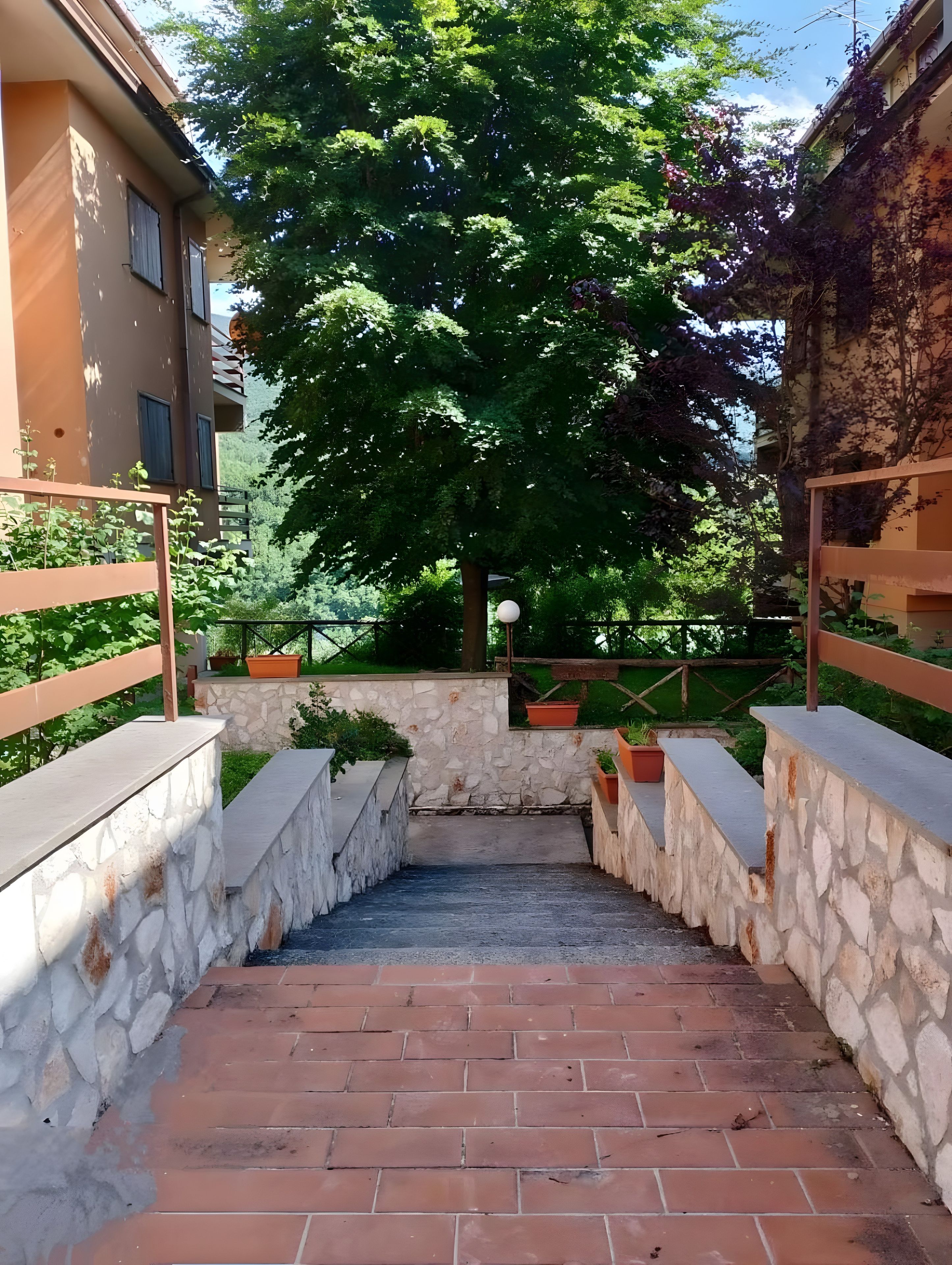 A stone pathway leading to a building with a large tree in the center.