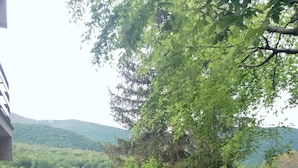 A fenced outdoor area with a wooden structure, possibly a gazebo, surrounded by lush greenery and hills in the background.