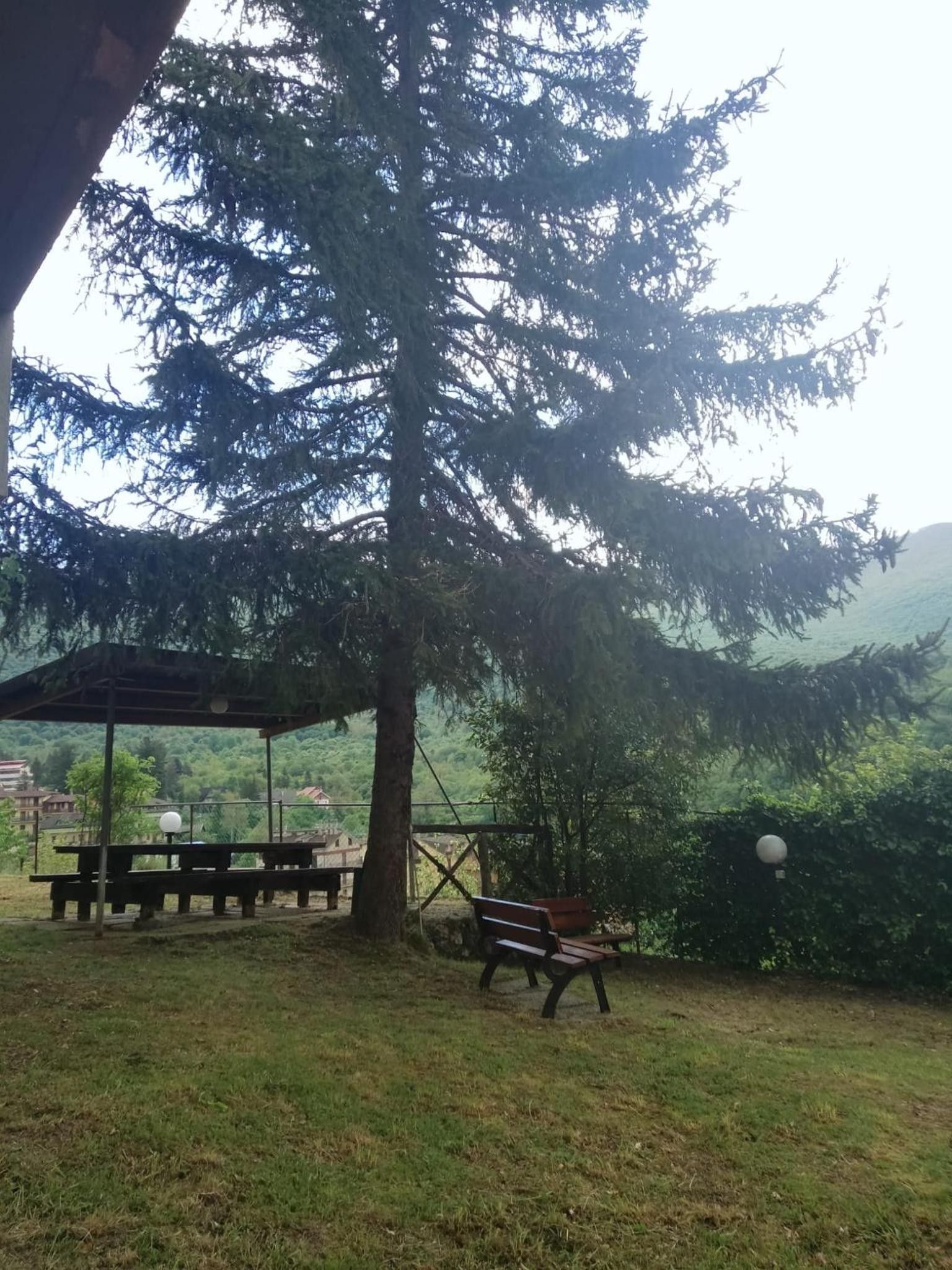 Ein Picknickplatz mit Bänken und Schutzhütte, umgeben von Bäumen und Blick auf eine hügelige Landschaft.