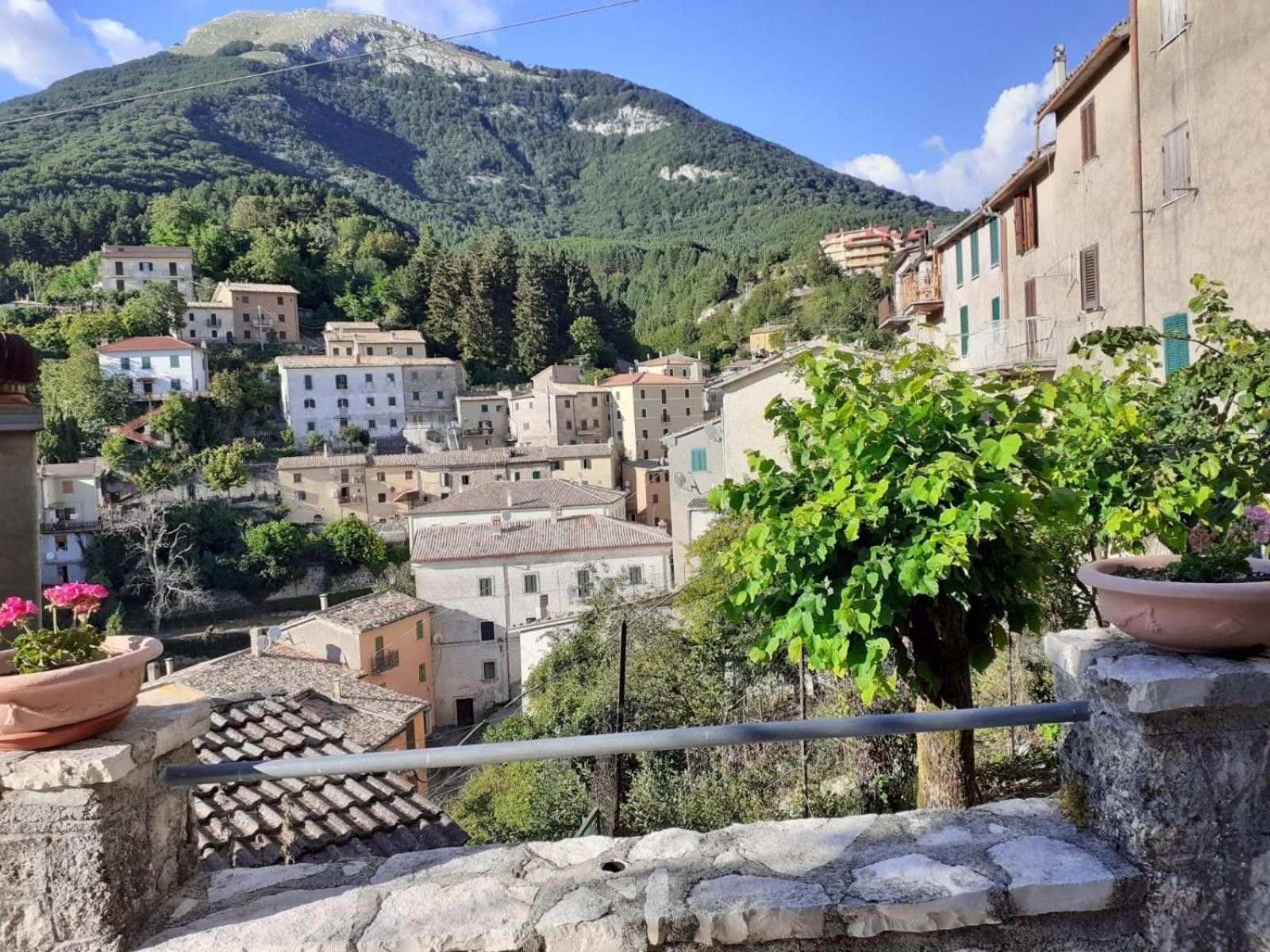 A hillside town with buildings, a mountain in the background, and a balcony with potted plants.
