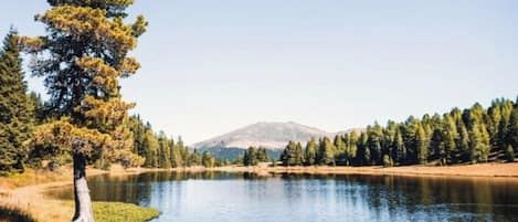 A calm lake with a clear sky, surrounded by trees and a mountain in the background.