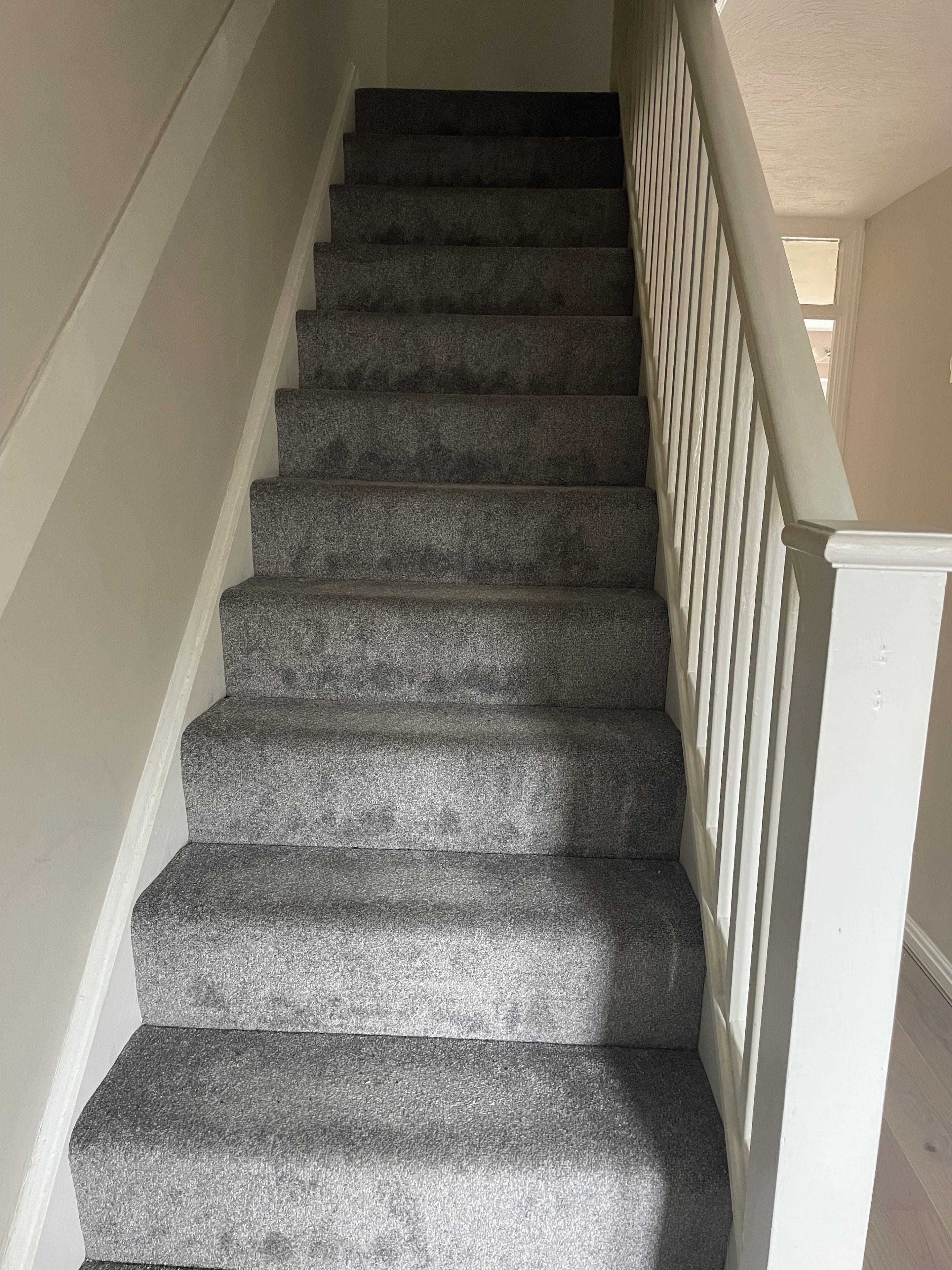 A carpeted staircase with white handrails.