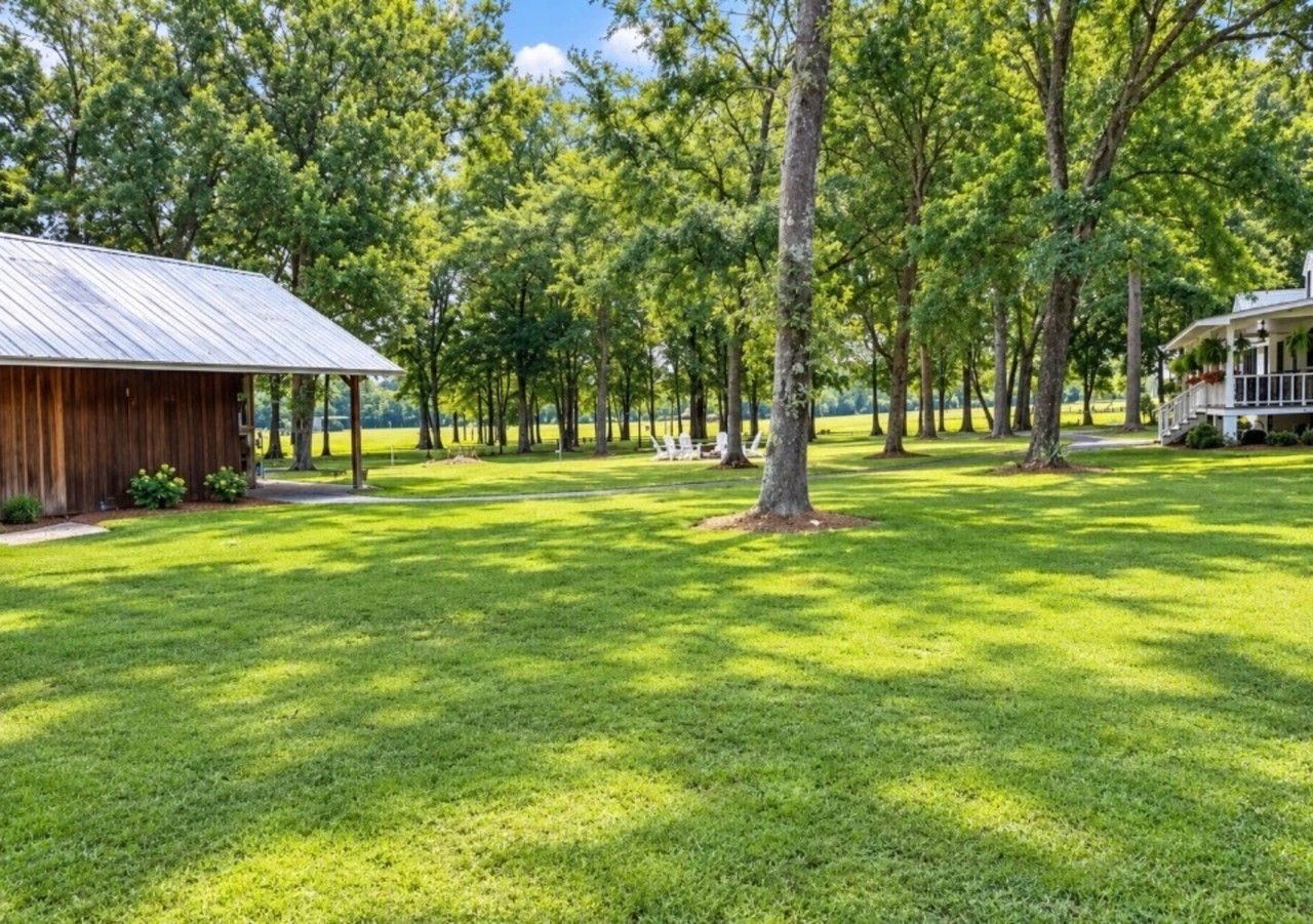 A grassy area with trees and a wooden building.