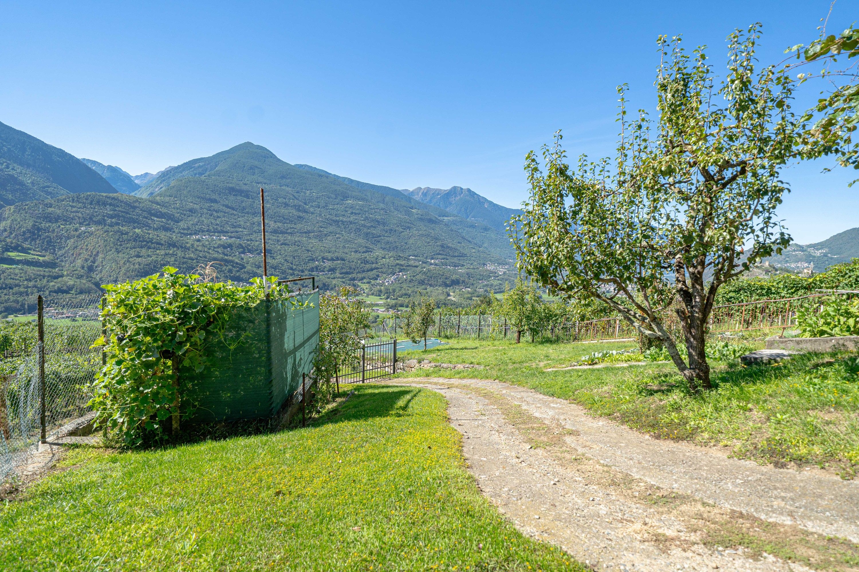 Ländliche Landschaft mit einem Feldweg, der durch ein grünes Feld führt, einem Zaun und einem Berg im Hintergrund.