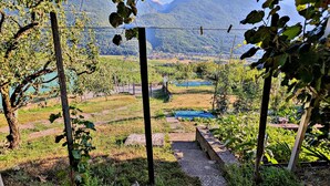 A vineyard with a clear view of distant mountains and a small pond. - Between Vineyards and Peaks · 2 bedrooms, view of the vineyards (Poggiridenti)