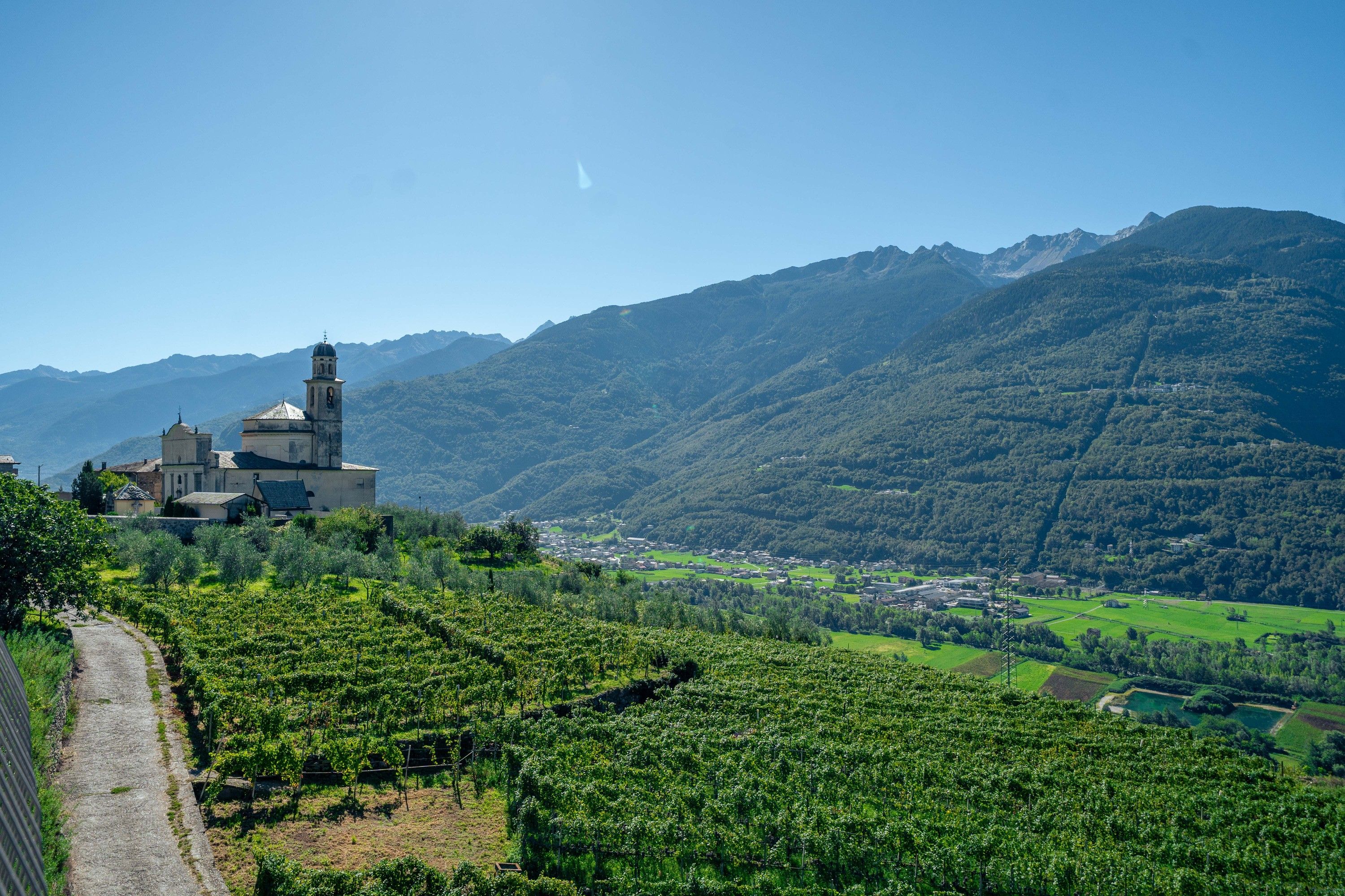 A mountainous landscape with a church and vineyards.