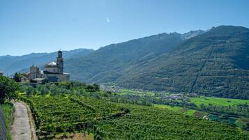 A mountainous landscape with a church and vineyards.