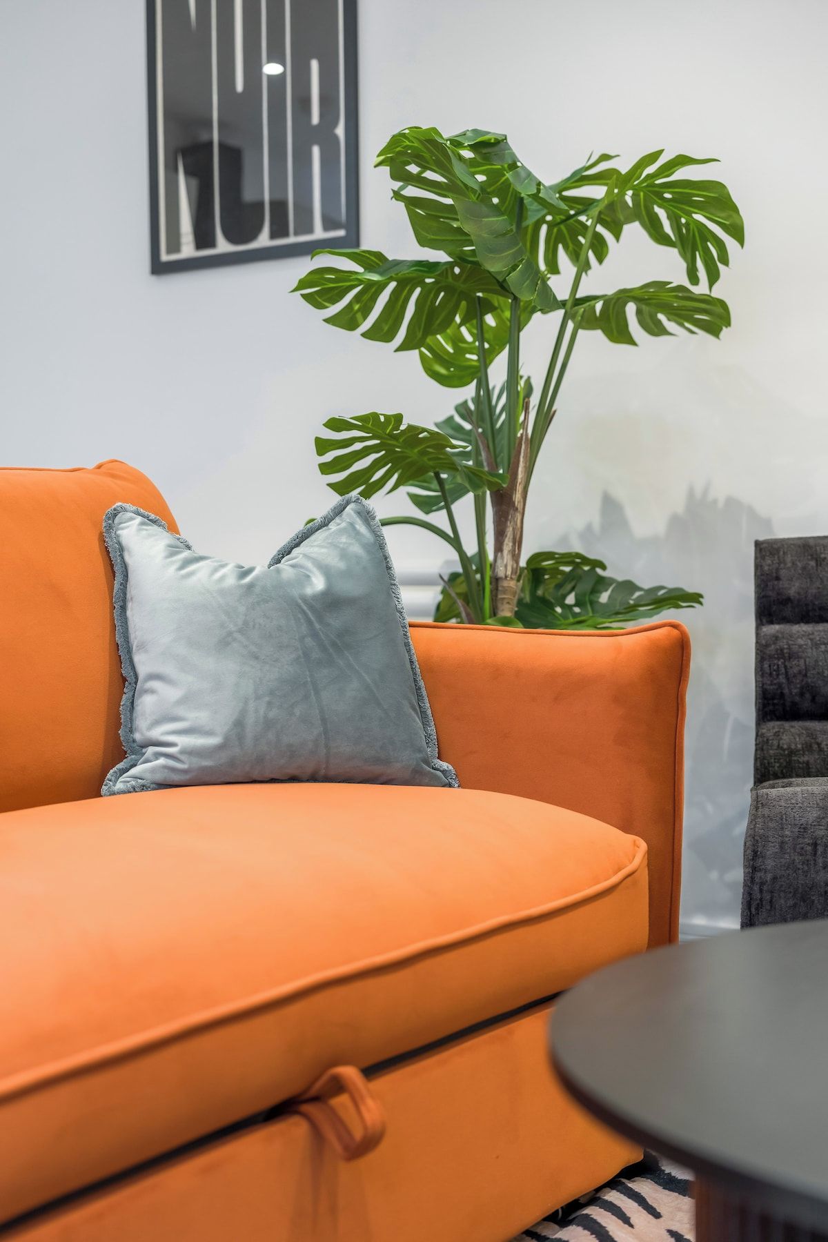 Una sala de estar moderna con un sofá naranja, un cojín gris y una planta verde grande.
