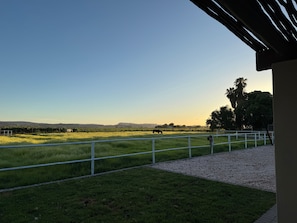 A grassy field with a metal railing, a building with a sloped roof, and distant hills.
