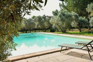 Ein Swimmingpool mit Liegestühlen und Bäumen im Hintergrund.