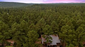 Une cabane entourée d’une forêt dense, offrant une vue dégagée sur le paysage environnant.
