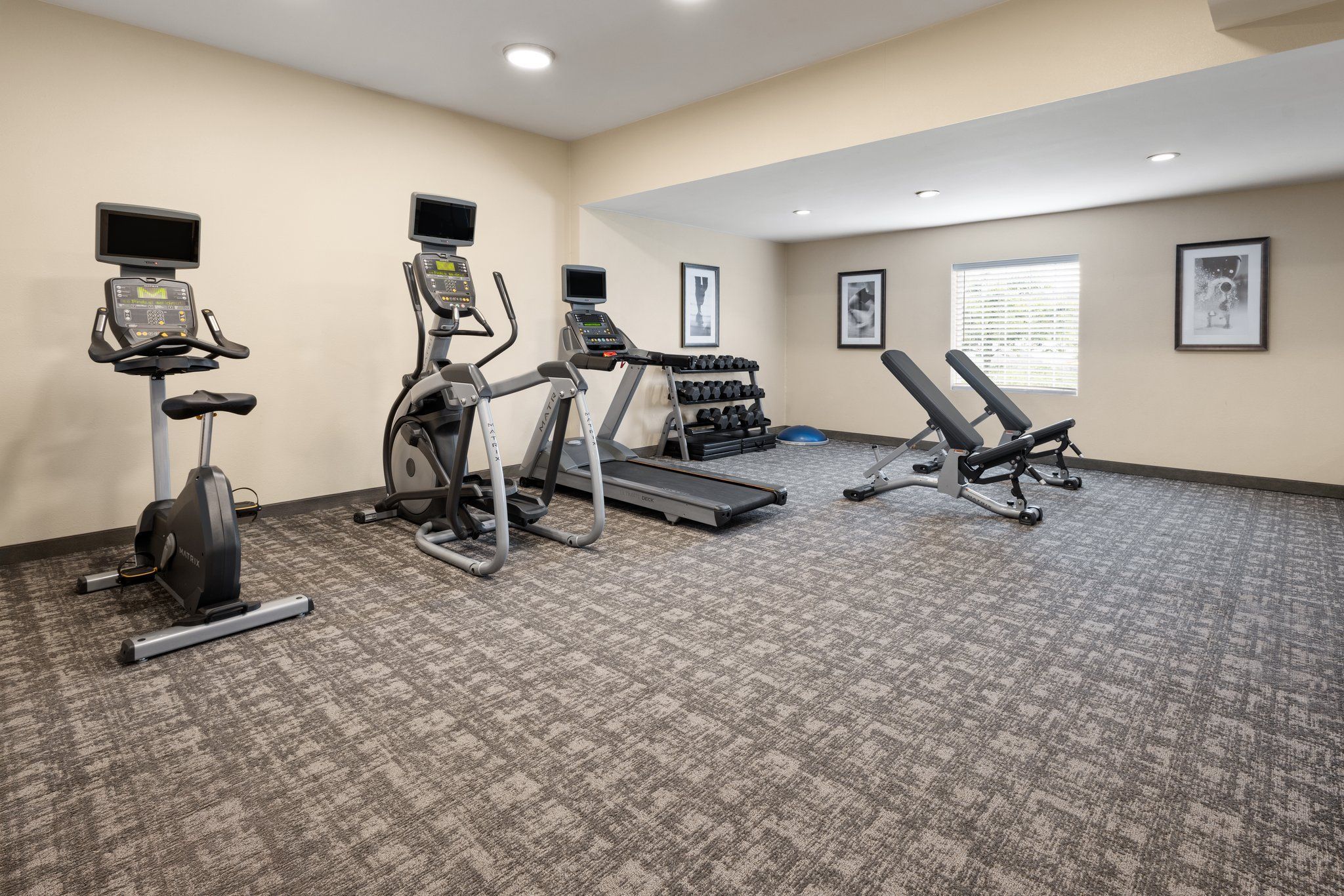 Une salle de sport équipée de tapis de course, d’un appareil elliptique et d’une zone dédiée aux exercices de développé couché.