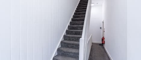 Una escalera con peldaños alfombrados y paredes blancas, que conduce a una plataforma.