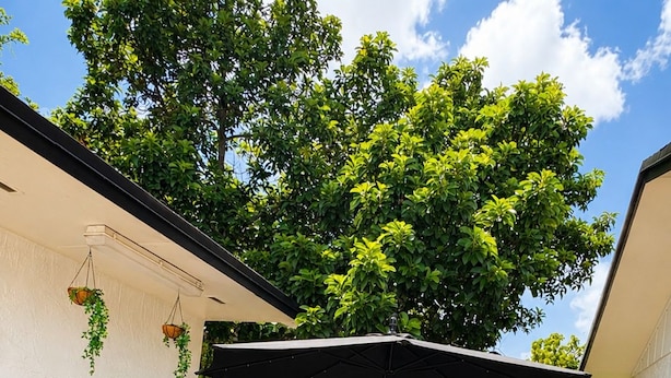 An outdoor patio with a black umbrella, a sofa with cushions, and potted plants. - •4BR·3BA Miami Oasis, Big Yard, Pool & Jacuzzi, Perfect for Vacations & Events• (Miami)