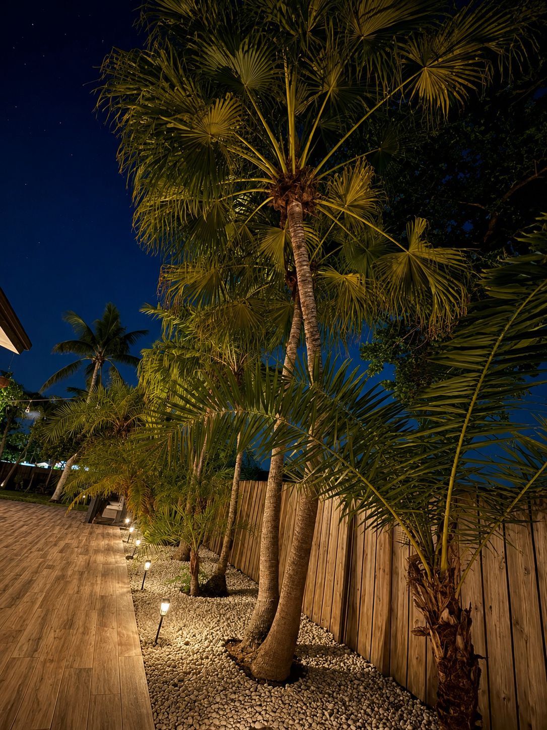 A nighttime outdoor area with palm trees, a wooden deck, and a wooden fence.
