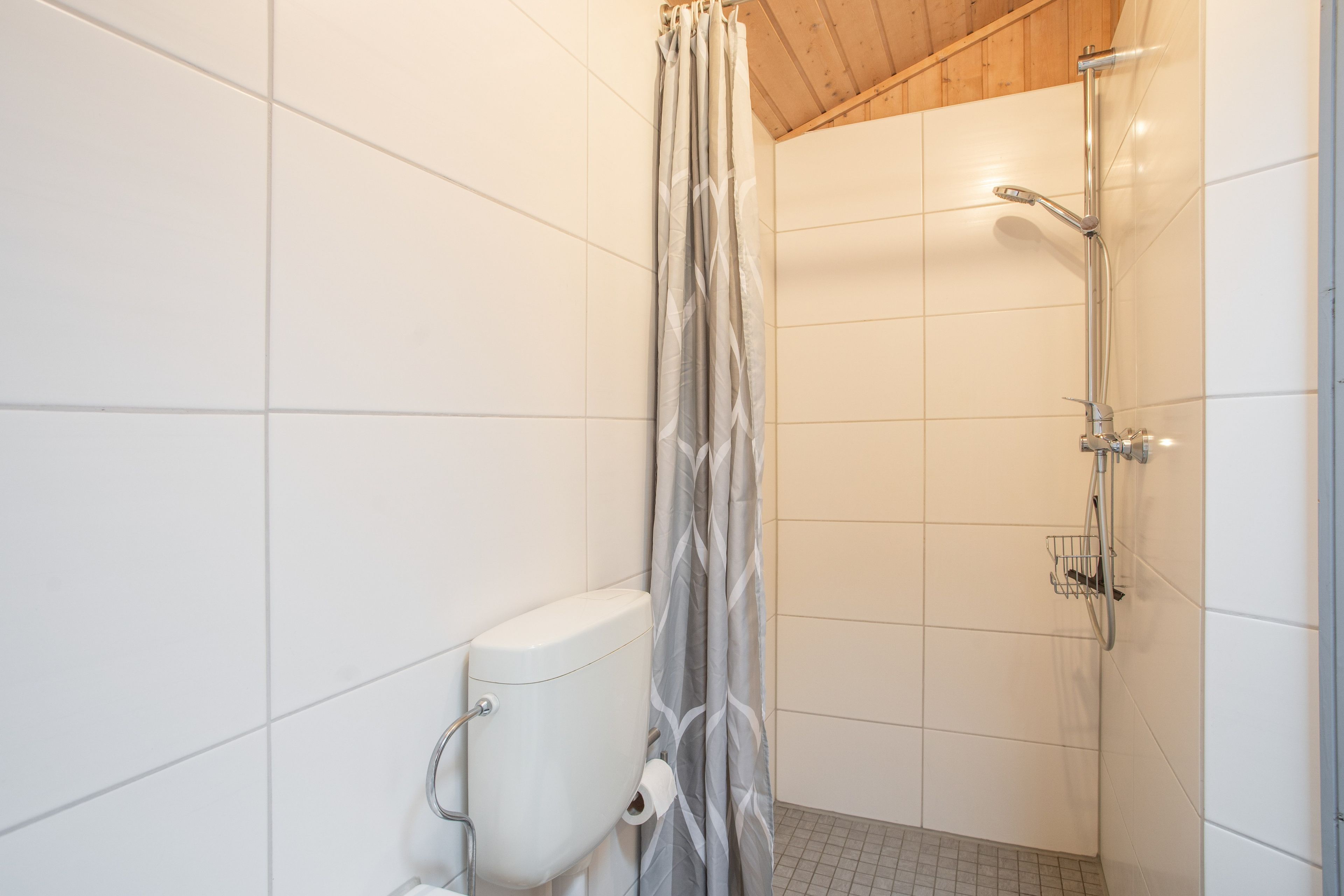 Un petit espace douche fermé, comprenant des toilettes et un pommeau de douche.