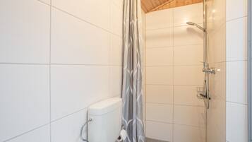 Un petit espace douche fermé, comprenant des toilettes et un pommeau de douche.